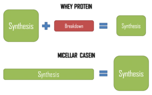 How to characterize protein quality? - Prodiet Fluid - the micellar casein  dedicated to high protein beverage